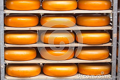 Dutch cheese Stock Photo
