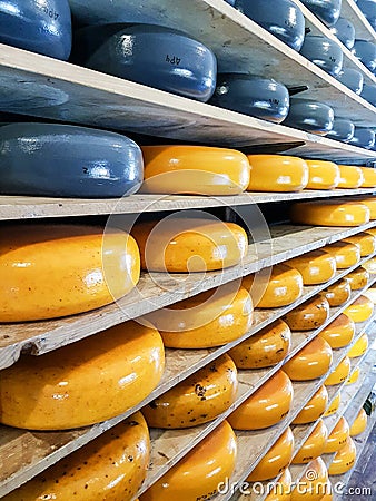 Dutch cheese maturing Stock Photo