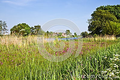 Dutch country landscape with farm in spring Stock Photo