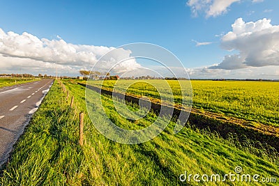 Dutch country road beside a field with flowering rapeseed Stock Photo