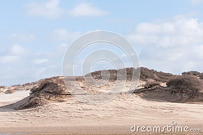 Dutch Dunes Stock Photo