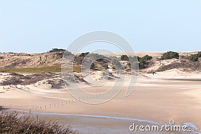 Dutch Dunes Stock Photo