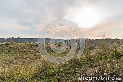 Dutch dunes landscape near the North Sea coast Stock Photo
