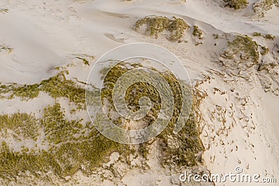 Dutch dunes by the sea from above Stock Photo