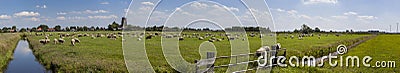 Dutch farmland panorama Stock Photo