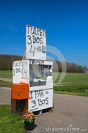 Dutch flowers for sale Stock Photo