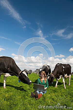 Dutch girl in field with cows Stock Photo