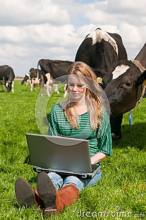 Dutch girl with laptop in field with cows Stock Photo