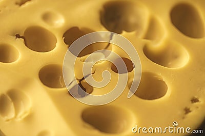 Dutch Hard Cheese Maasdam Stock Photo