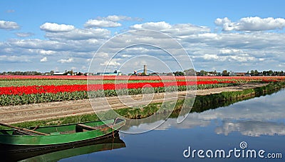 Dutch landscape Stock Photo