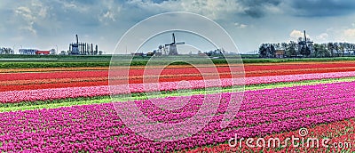 Dutch Landscape Stock Photo