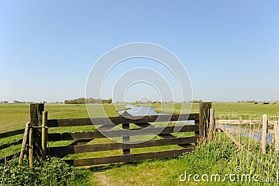 Dutch landscape in polder Stock Photo