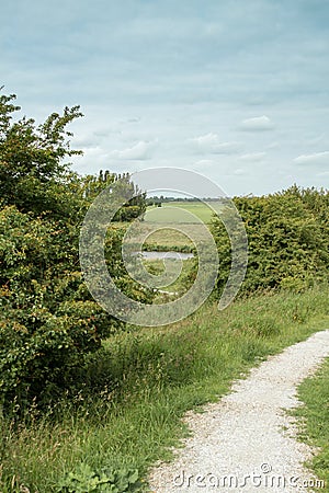 Dutch landscape with road in springtime Stock Photo