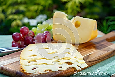 Dutch Maasdam hard cheese with holes, piece and sliced, served outdoor in green garden Stock Photo