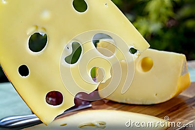 Dutch Maasdam hard cheese with holes, piece and sliced, served outdoor in green garden Stock Photo