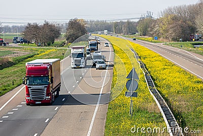 Dutch motorway near Lelystad with blooming rapeseed Editorial Stock Photo