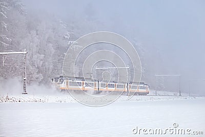 Dutch passenger train passing national park Veluwezoom during winter Stock Photo