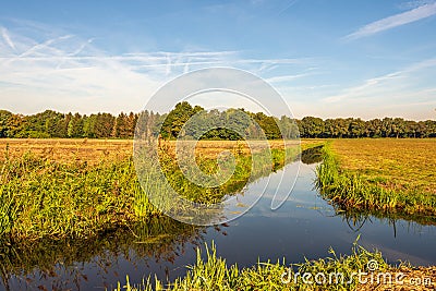 Dutch polder landscape on a windless autumn day Stock Photo