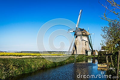 Dutch Poldermolen (mill) near tulip fields. Stock Photo