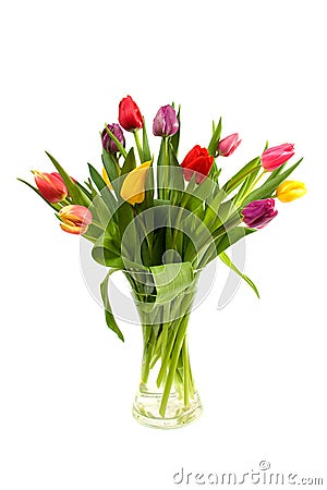 Dutch tulips in glass vase Stock Photo