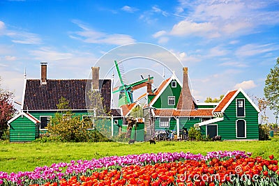 Dutch typical landscape. Traditional old dutch windmill with old houses and tulips against blue cloudy sky in the Zaanse Schans Stock Photo