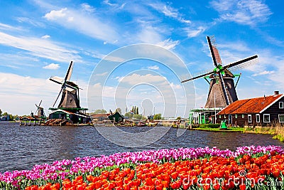 Dutch typical landscape. Traditional old dutch windmills with house, blue sky near river with tulips flowers flowerbed in the Stock Photo