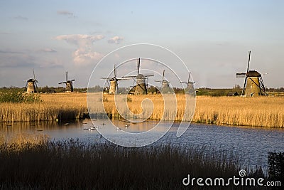 Dutch windmills in Kinderdijk Stock Photo