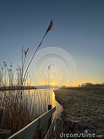 Dutch winter Landscape Twiske nature area The Netherlands Stock Photo