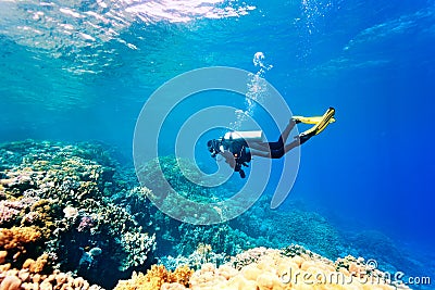 Dver swimming under water Stock Photo