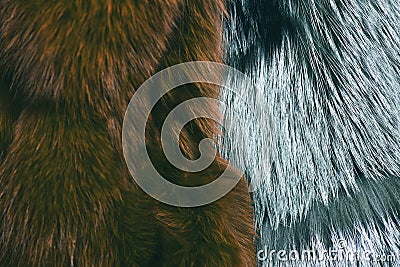 Dyed furry coat in brownish green and grey color, closeup Stock Photo