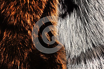 Dyed furry coats in brown and grey color, close up. Stock Photo