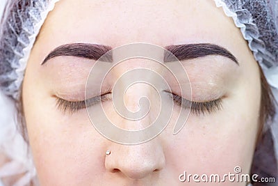 Dyeing and eyebrow shaping. the result of the wizard. girl Stock Photo