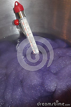 Dyeing sheep wool roving Stock Photo