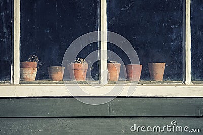 Dying plants on pots in window of old vintage retro potting shed Stock Photo