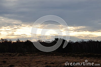 Dune heath Hiddensee Stock Photo