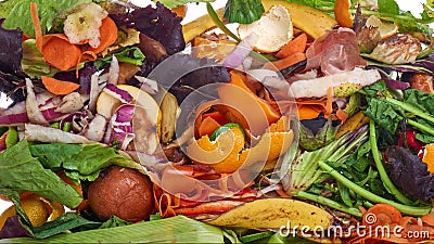Déchets alimentaires domestiques pour compost à partir de fruits et légumes sur fond blanc banque de vidéos Déchets alimentaires domestiques pour compost à partir de fruits et légumes sur fond blanc banque de vidéos