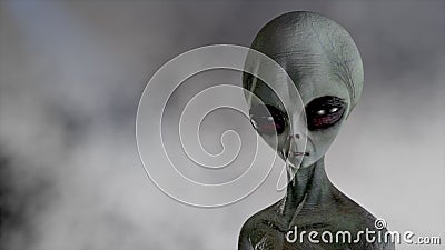 Détenteurs effrayants et paraître étrangers clignotant gris sur un fond sombre fumeux. Rendu futuriste du concept d'ovni 3d. illustration libre de droits Détenteurs effrayants et paraître étrangers clignotant gris sur un fond sombre fumeux. Rendu futuriste du concept d'ovni 3d. illustration libre de droits