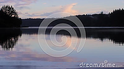 Düsterer See mit Vögeln Düsterer See mit Vögeln