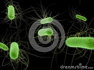 E.coli bacteria Stock Photo