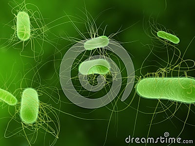 E.coli bacteria Stock Photo