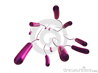 E-coli bacteria Stock Photo