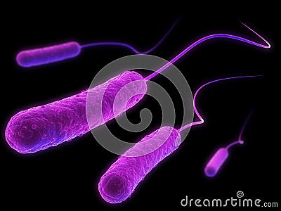 E-coli bacteria Stock Photo