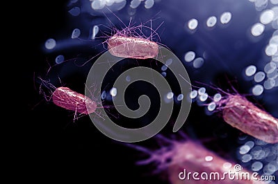 E.Coli Bacteria Cells Stock Photo