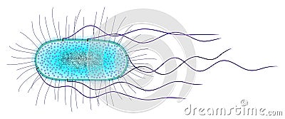 E. coli cell Stock Photo