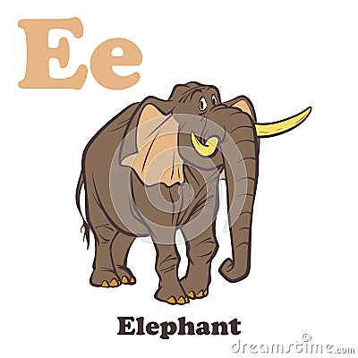 E for Elephant Vector Illustration