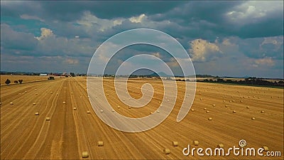 E almacen de video E almacen de video