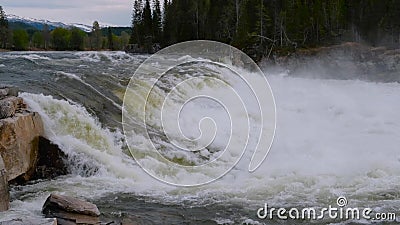 E r stock video E r stock video