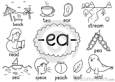 Ea digraph spelling rule black and white educational poster for kids with words. Learning phonics Vector Illustration