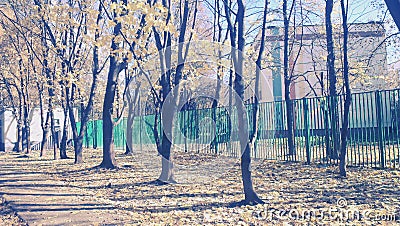 Gorgeous Fall in the sidewalks of Moscow Stock Photo