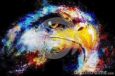 Eagle on abstract color background. Profile portratit. Stock Photo